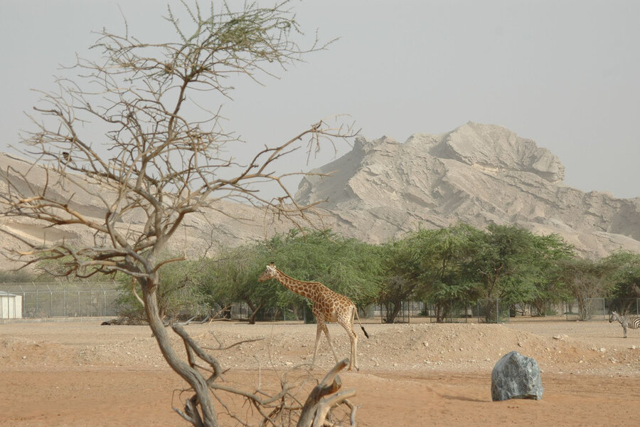 Al Ain, Zoo